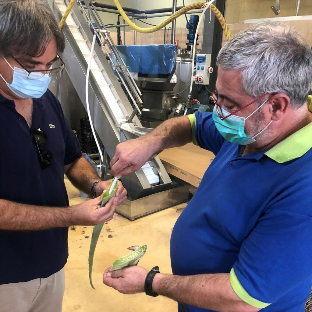 AloeSolBio : Angélo Parrat en train d'assister à un test de qualité d'Aloe Vera