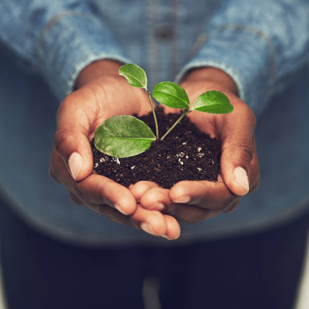 Protéger l'environnement